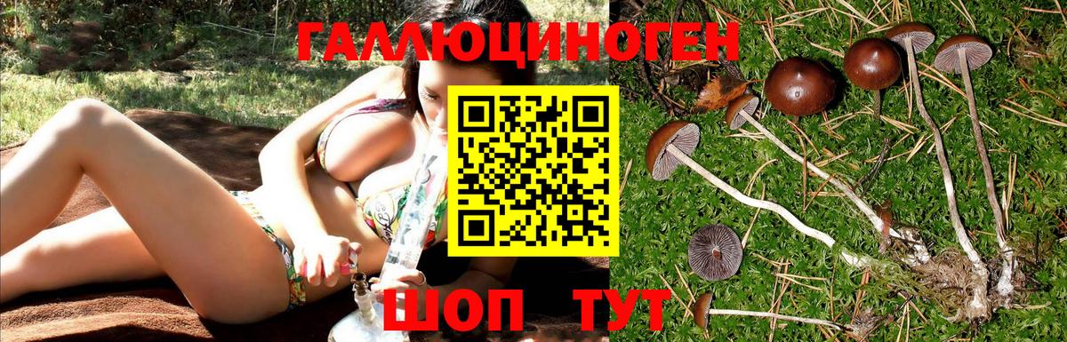 Псилоцибиновые грибы мухоморы  как найти   Вход с VPN  Кострома  Псилоцибиновые грибы мицелий 
